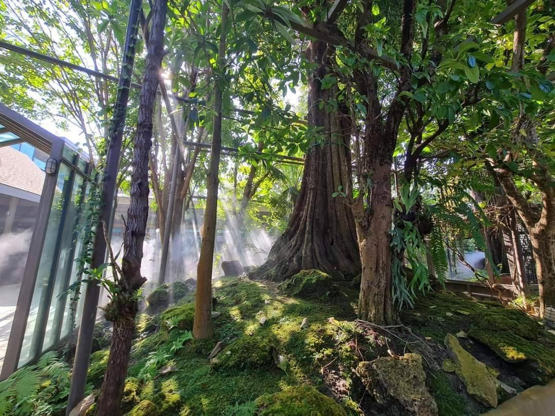 Treescape Resort Chiangmai Chiang Mai Esterno foto